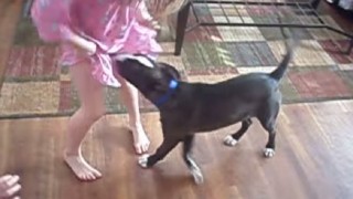 スカートをめくろうとするHな犬を撃退…