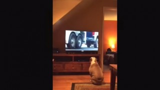 リビングのテレビでバドワイザーのCMが…