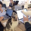 猫だらけのオフィスって・・・あり？(笑)