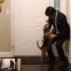 飼い主と再会した犬の　はしゃぎよう　…