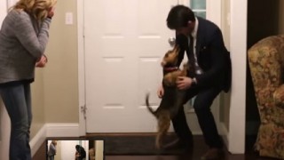 飼い主と再会した犬の　はしゃぎよう　…