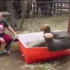 【動画】面白い！！　でもこれ絶対に人…
