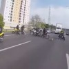 【動画】ワンちゃんが高速道路に！さて…
