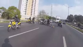 【動画】ワンちゃんが高速道路に！さて…