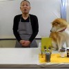 ワンちゃんの演技がいいのかそれとも・…