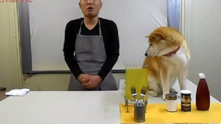ワンちゃんの演技がいいのかそれとも・…