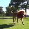 【動画】ちょっとイタズラがすぎる感じ…