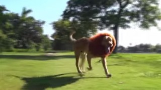 【動画】ちょっとイタズラがすぎる感じ…