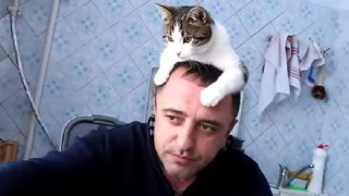 飼い主が食事をしていると、頭の上に乗…